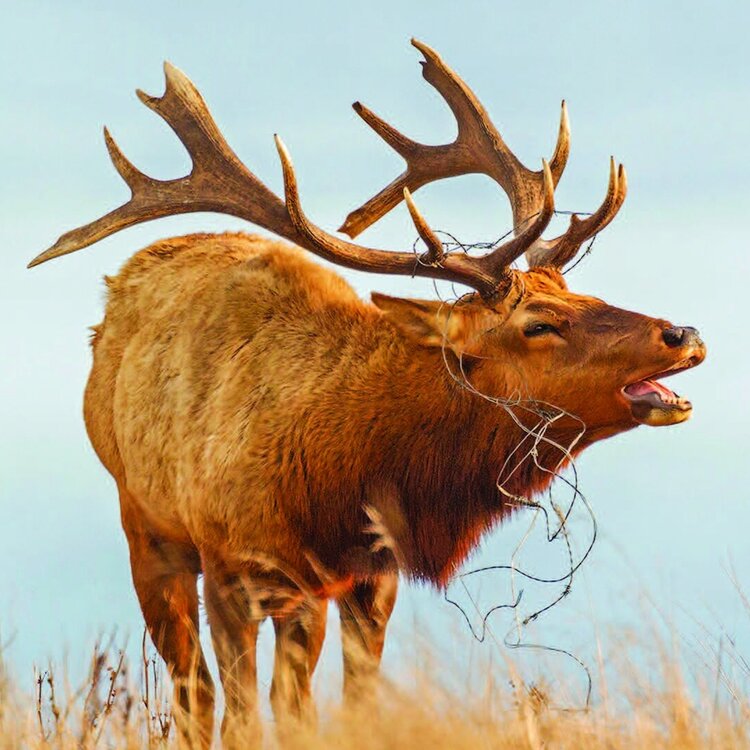 SAVE POINT REYES NATIONAL SEASHORE