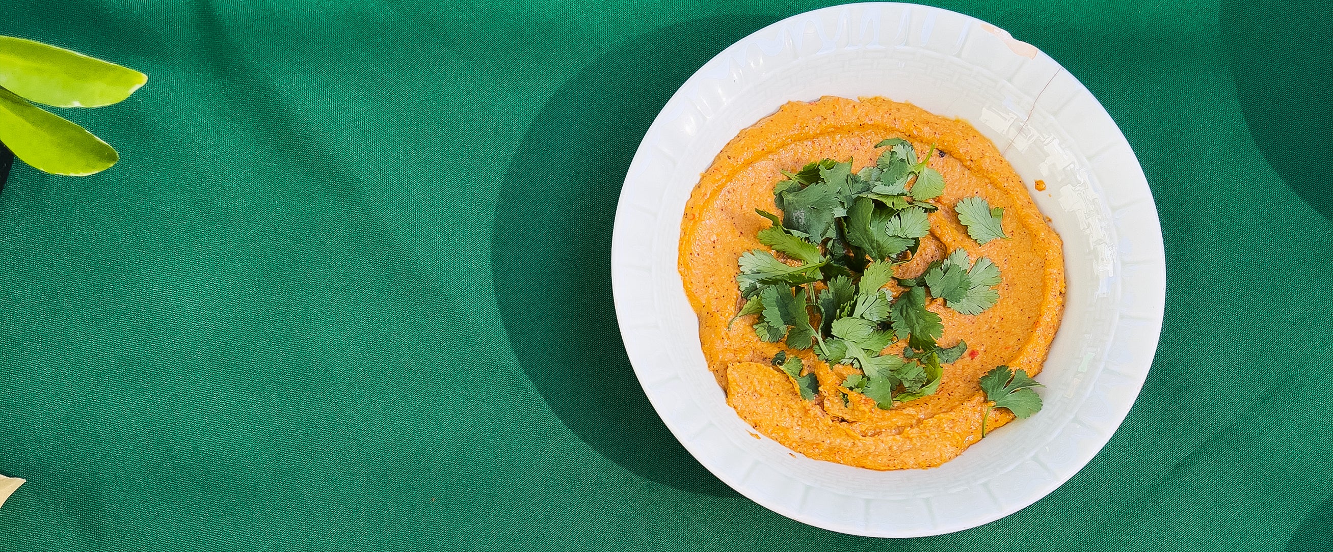 5 Minute Protein Queso Dip