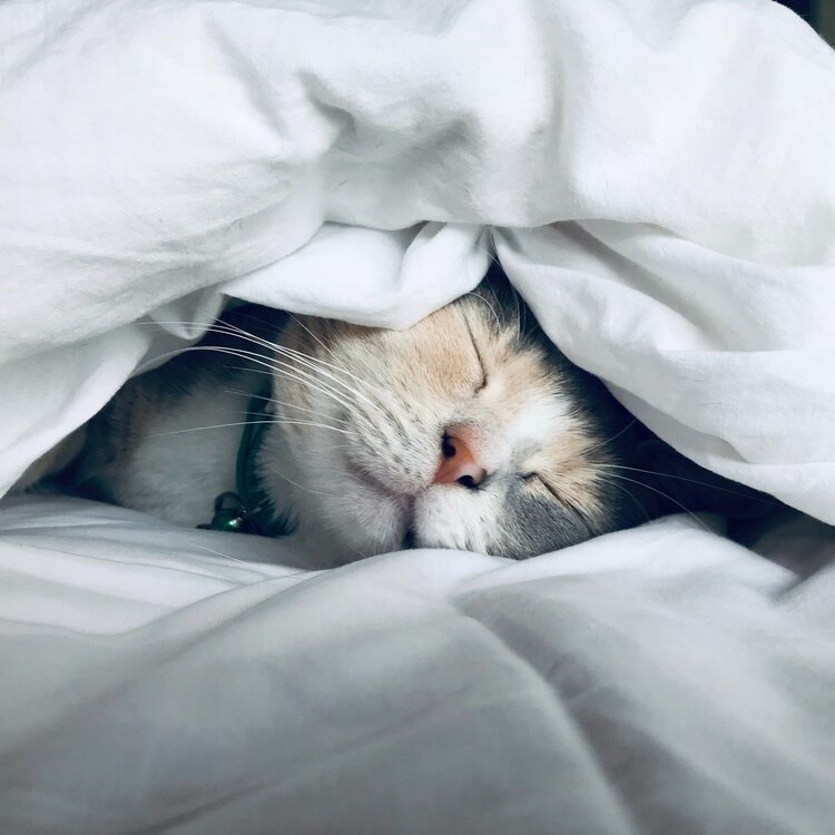 7 INCREDIBLE BENEFITS OF SLEEP