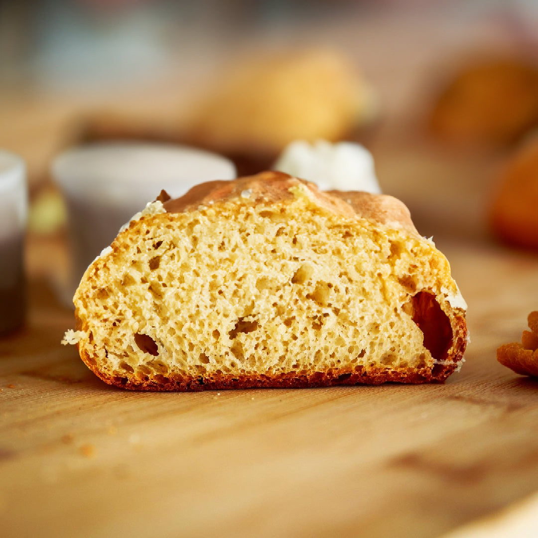 Plant Bake Protein Powder